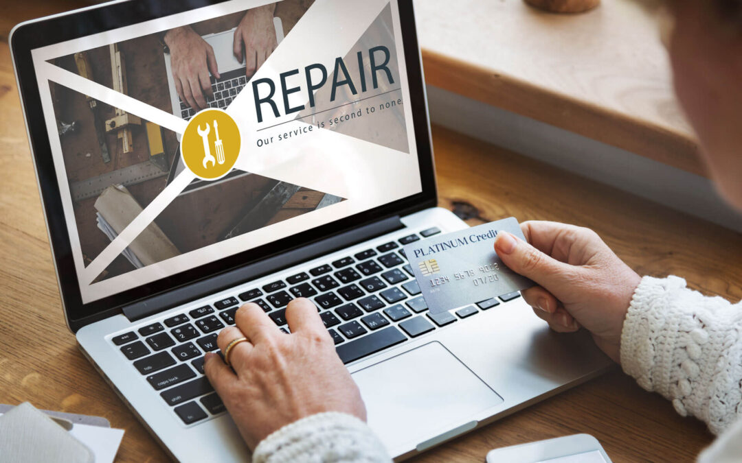 How can you maintain your website regularly